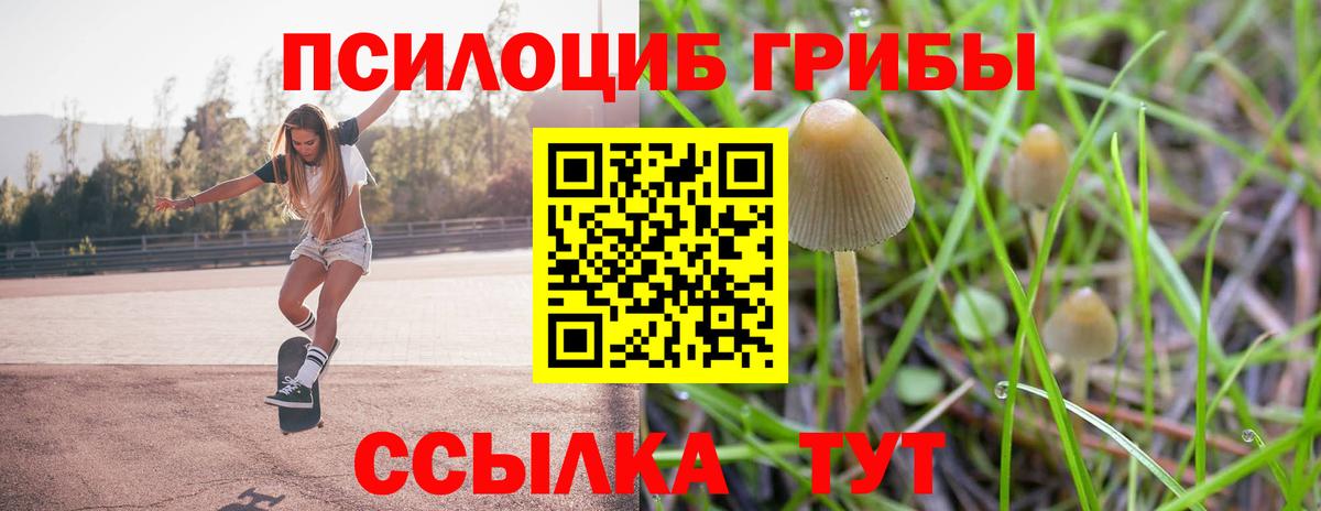 Псилоцибиновые грибы Cubensis Дзержинский