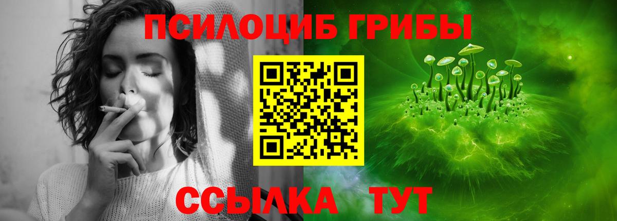 Дзержинский  Псилоцибиновые грибы ЛСД  Вход с VPN 